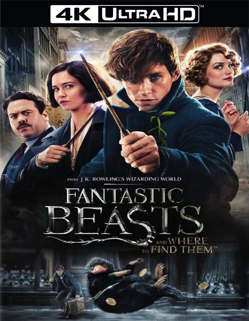 تحميل فيلم Fantastic Beasts and Where to Find Them 2016 مترجم [4K]