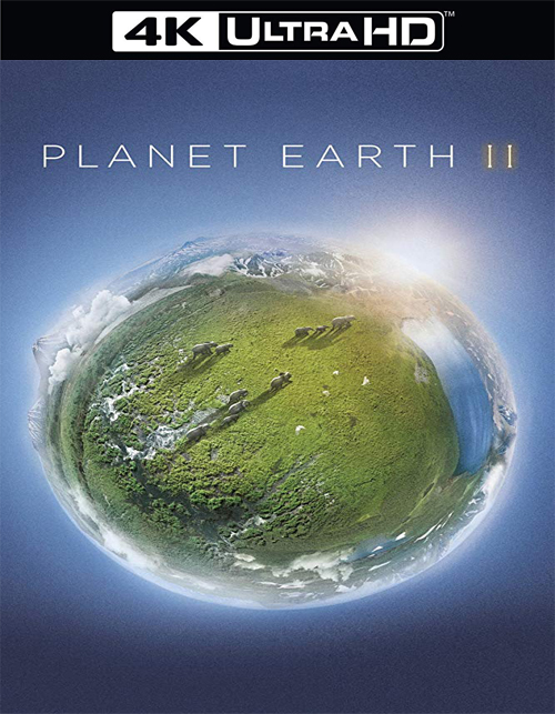 تحميل المسلسل الوثائقي "كوكب الارض 2" Planet Earth II 2016 مترجم على رابط واحد [4K]