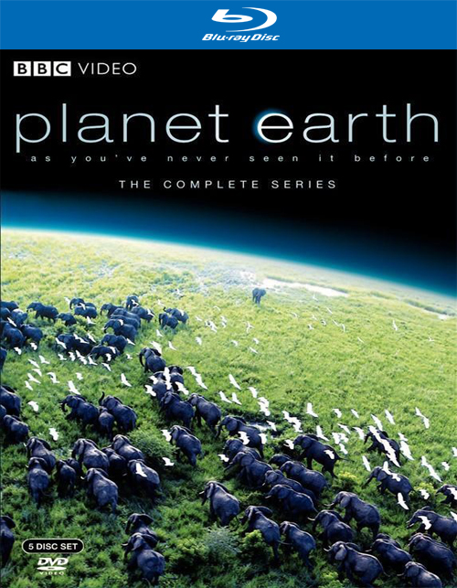 تحميل المسلسل الوثائقي Planet Earth 2006 مترجم على رابط واحد